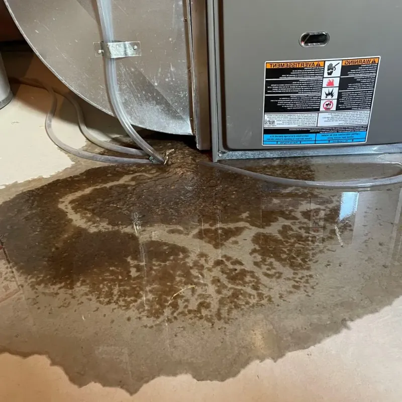 Pipe Burst and Leak Restoration in Herriman, UT
